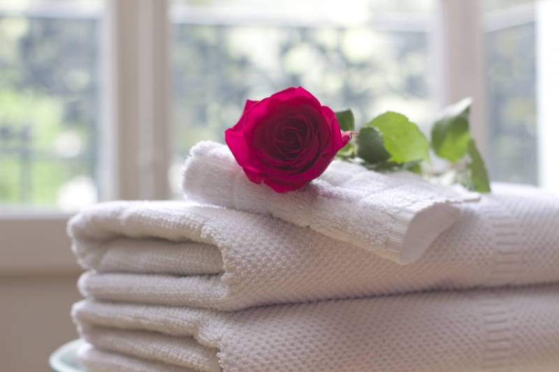 hotel-CHATEAUNEUF D ENTRAUNES-min_towel_rose_clean_care_salon_spa_white_bath-731641